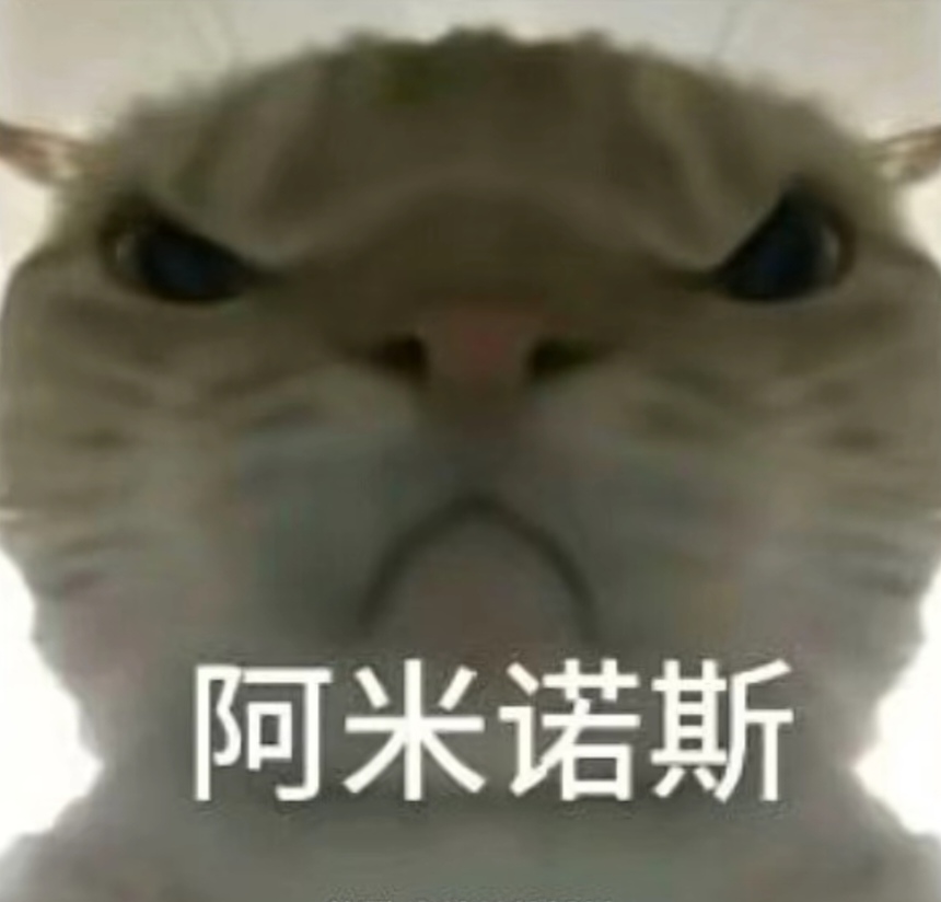 和球迷的期