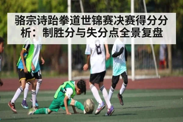 骆宗诗跆拳道世锦赛决赛得分分析：制胜分与失分点全景复盘